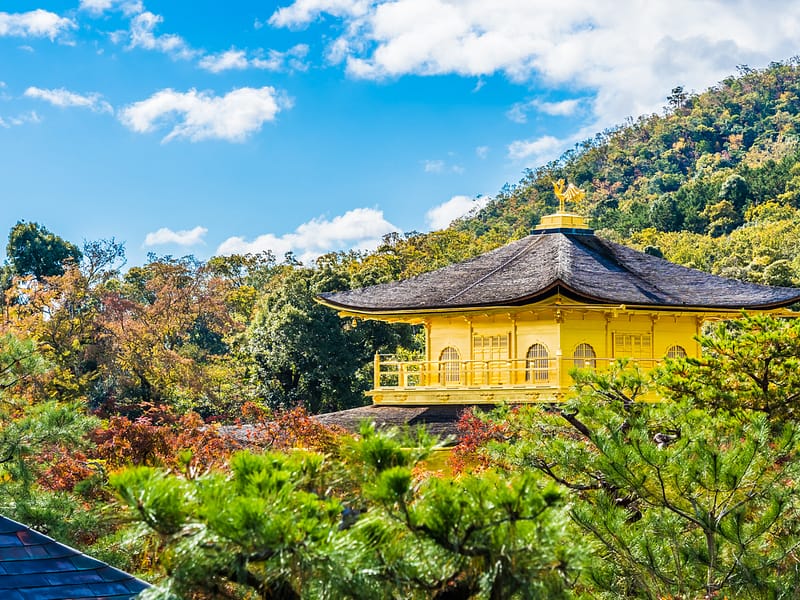 pessoa em transição entre cidades representando mudança de país, recomeço financeiro e nova fase de vida